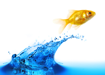 水滴角測(cè)量?jī)x 水滴角測(cè)量?jī)x