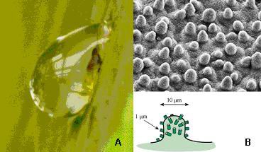 「水滴角測量儀」水滴角測試儀的基本原理是什么？